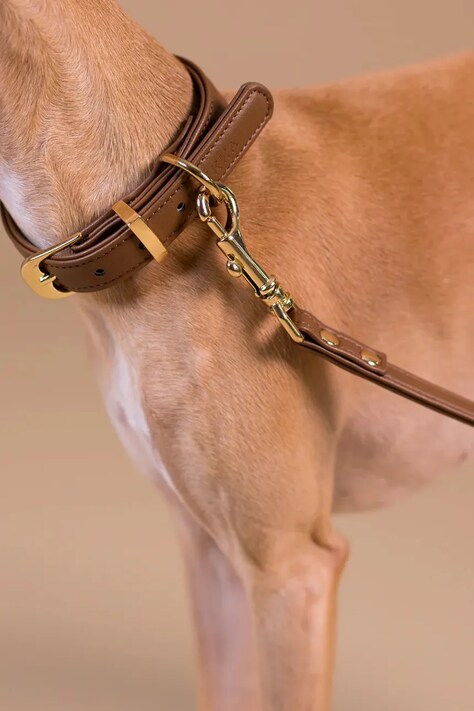 PAIKKA obroża dla psa L 1031025