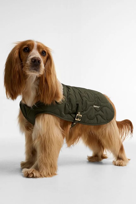 Barbour Płaszcz dla psa DCO0100