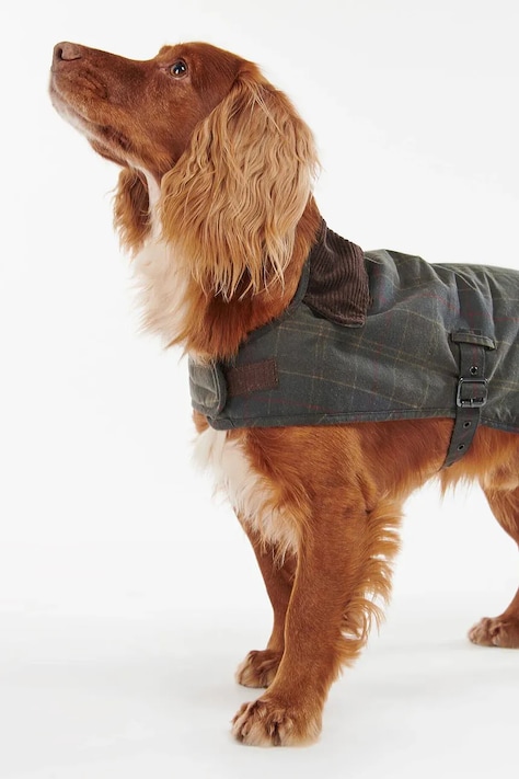 Barbour Płaszcz dla psa DCO0031