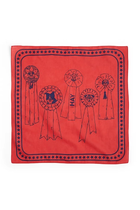 HAY bandană pentru animale de companie 55 x 55 cm AD858-D281-AB27
