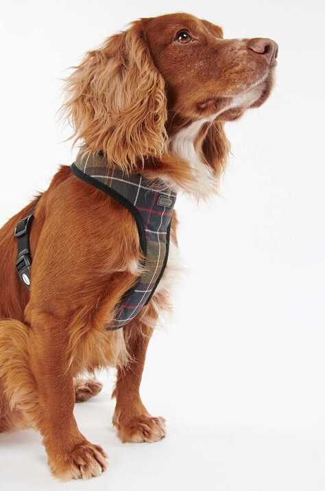 Шлейки для собак Barbour