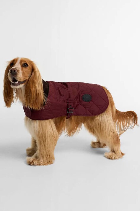 Barbour Płaszcz dla psa DCO0004