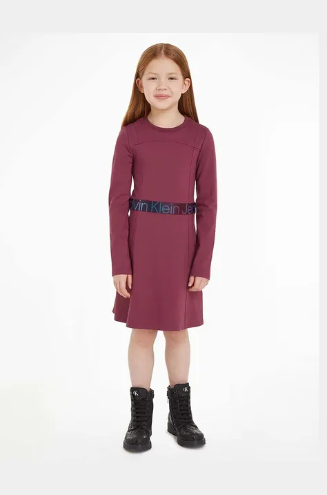 Dievčenské šaty Calvin Klein Jeans fialová farba, mini, áčkový strih