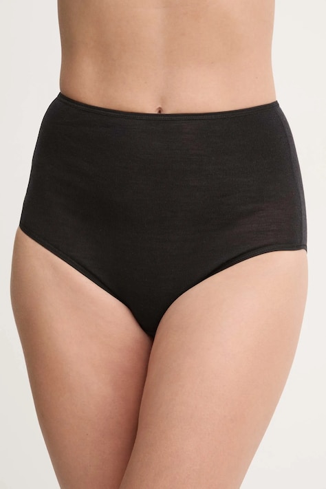 Трусы Chantelle FEMILET цвет чёрный FN1520