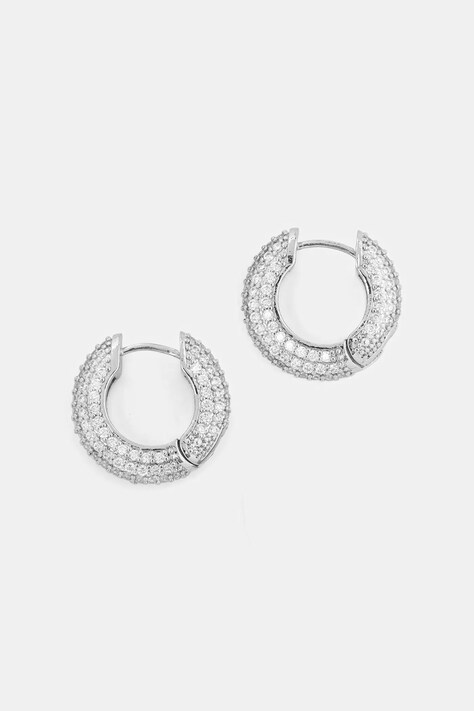 Сережки Aldo STRIGIDAE.973