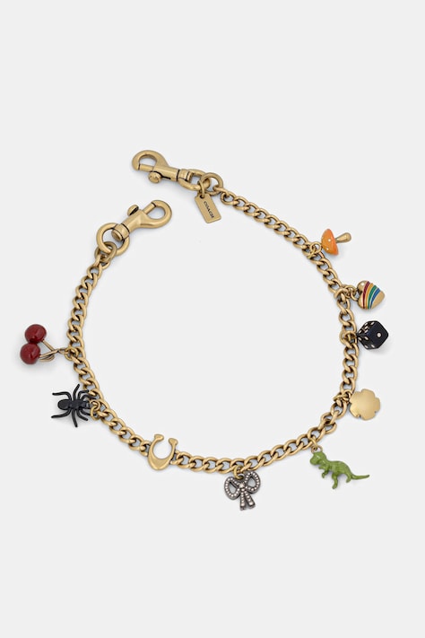 Coach lanț de geantă CCD30