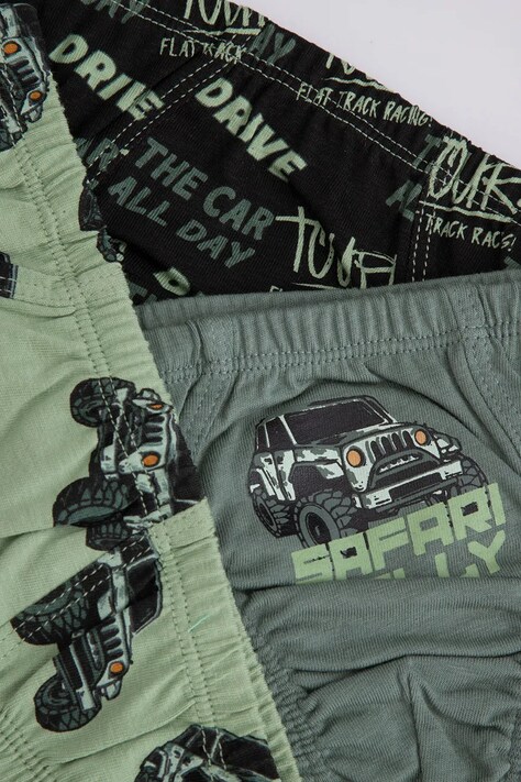 Coccodrillo slipy bawełniane dziecięce 3-pack kolor multicolor PANTS
