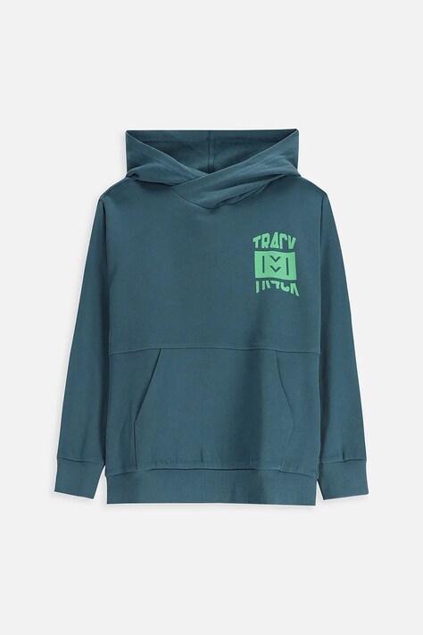 Coccodrillo bluza bawełniana dziecięca kolor zielony z kapturem z nadrukiem EVERYDAY BOY A