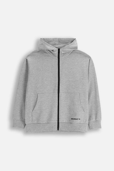Coccodrillo bluza bawełniana dziecięca kolor szary z kapturem z nadrukiem EVERYDAY BOY A
