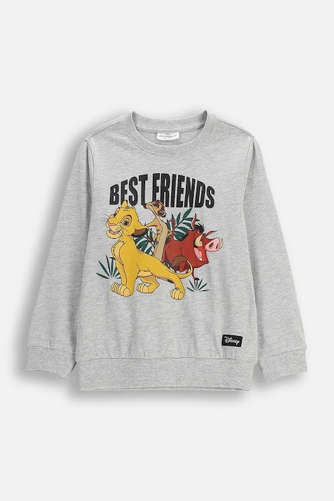 Pulover Coccodrillo siva barva, LICENCE BOY