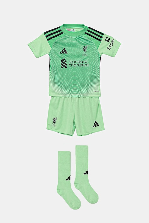 adidas Performance komplet dziecięcy LFC kolor zielony JV6486