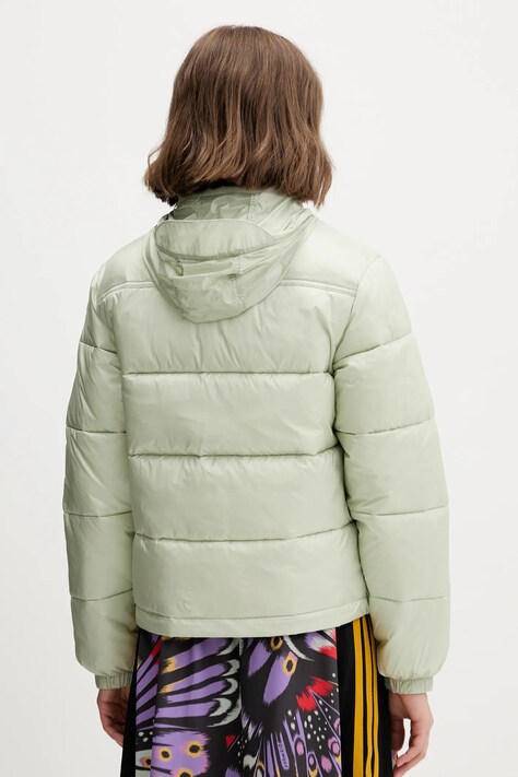 Куртка Tommy Jeans цвет зелёный зимняя DW0DW21619
