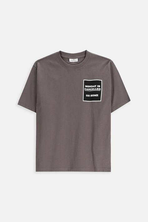 Coccodrillo t-shirt bawełniany dziecięcy kolor szary z nadrukiem EVERYDAY BOY A