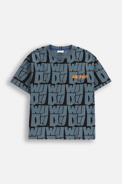 Coccodrillo t-shirt bawełniany dziecięcy kolor multicolor z nadrukiem YETI BOY JUNIOR