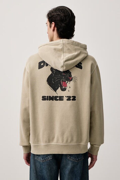 Dickies Bluza z kapturem męska z bawełną beżowa DK0A8CHWDS01
