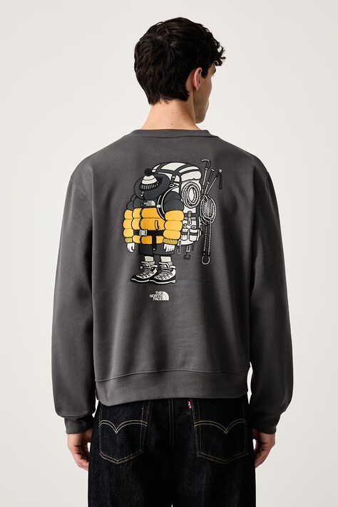 The North Face Dukserica za muškarce s pamukom Gear up Relaxed siva NF0A8JB5RHI1