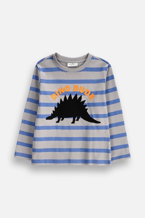 Coccodrillo Majica z dolgimi rokavi otroška bombažna siva WINTER ADVENTURE BOY KIDS