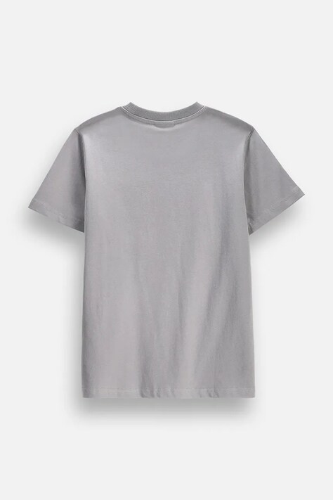 Coccodrillo t-shirt παιδικό βαμβακερό γκρί EVERYDAY BOY A