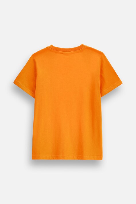 Coccodrillo T-shirt dziecięcy bawełniany pomarańczowy EVERYDAY UNISEX A