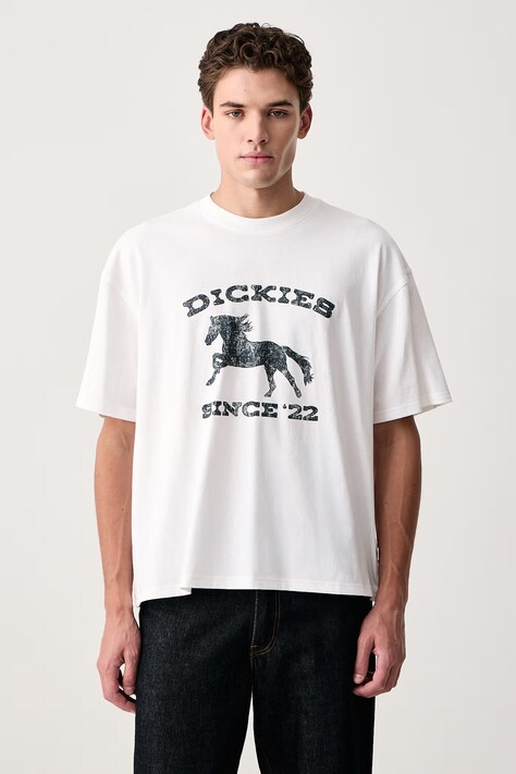 Dickies T-shirt męski bawełniany biały DK0A8CU60WH1