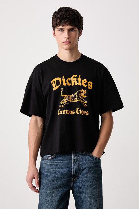 Dickies T-shirt męski bawełniany czarny DK0A8DEFBLK1