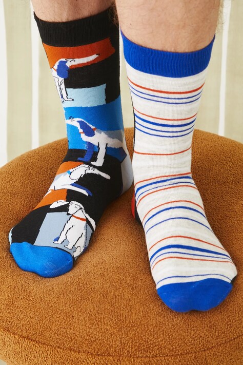Skarpetki (2-pack) bawełniane męskie w psy kolor multicolor