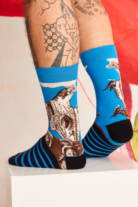 Skarpetki (2-pack) bawełniane męskie z kolekcji El Gato Chimney x Medicine kolor multicolor