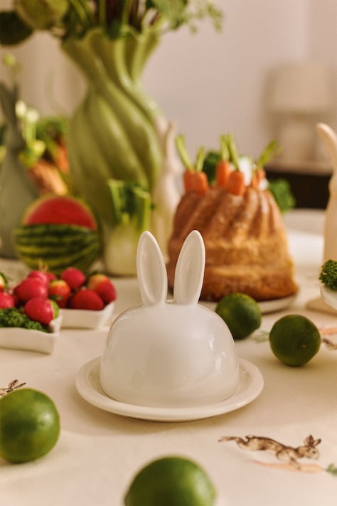 Medicine untieră din porțelan