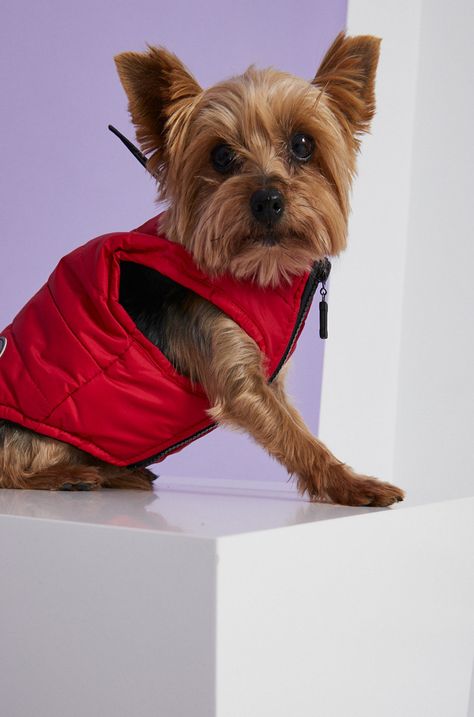 Medicine - Куртка для собаки Commercial
