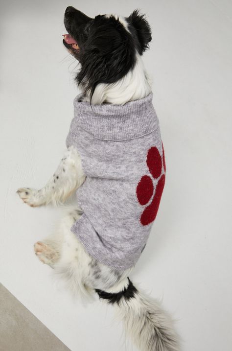 Medicine - Sweter dla psa Commercial