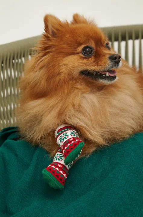 Ponožky pre psa vianočné viac farieb
