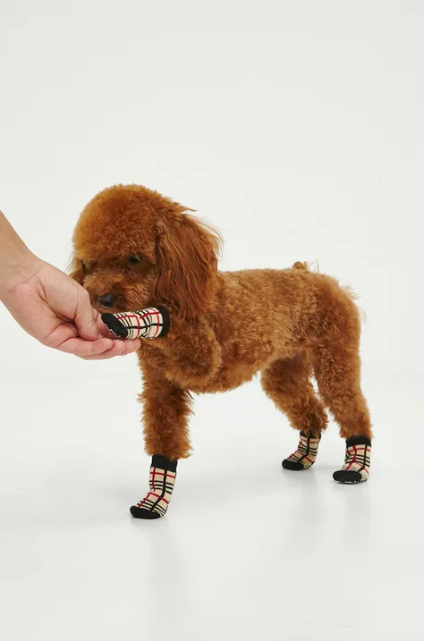 Ponožky pre psa so vzorom viac farieb
