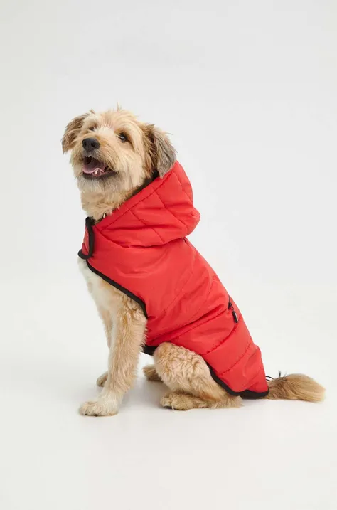 Куртка для собаки Medicine