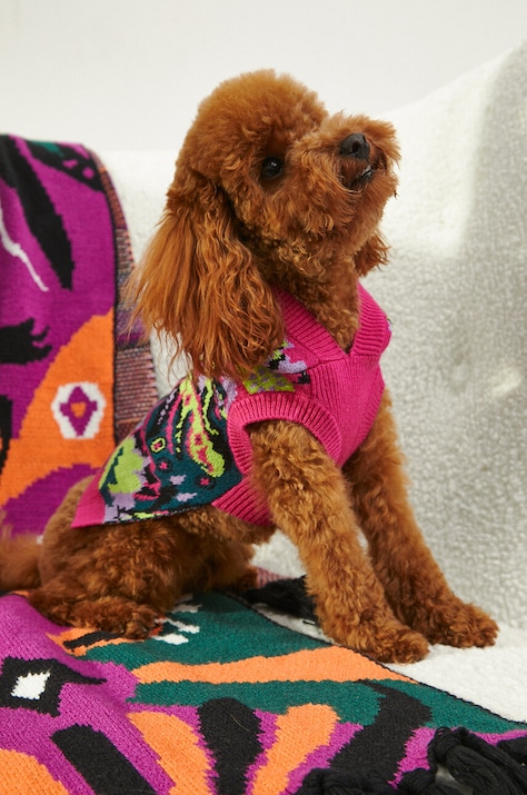 Sweter dla pupila wzorzysty