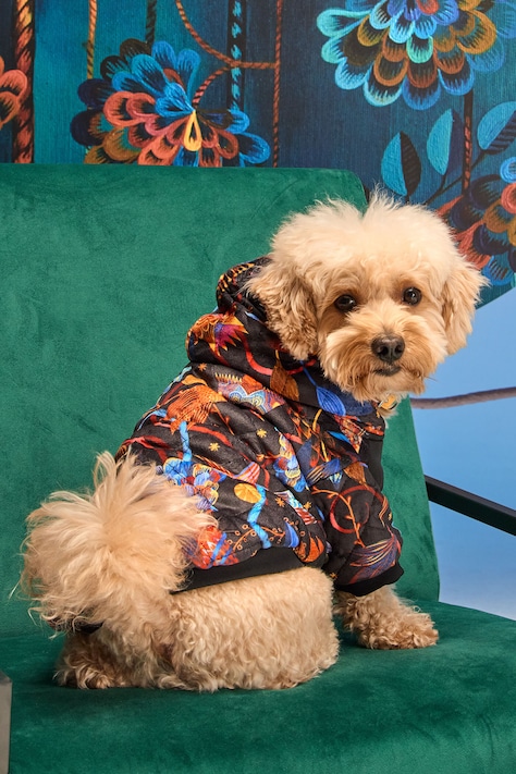 Kurtka dla pupila z kolekcji Karolina Matyjaszkowicz x Medicine kolor multicolor