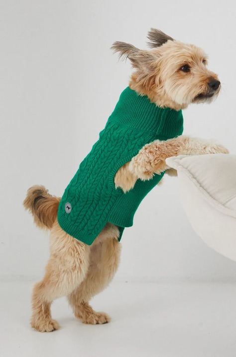 Sweter dla pupila z warkoczowym splotem kolor zielony