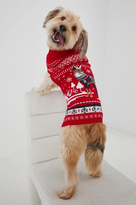 Medicine pulover pentru un animal de companie