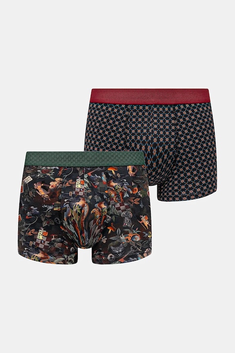 Bavlnené boxerky vzorované s elastanom (2-pack) viac farieb RW25-BIMA13