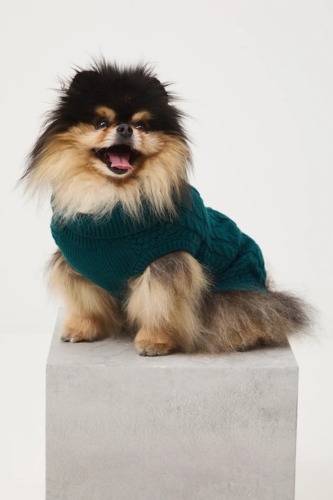 Sweter dla pupila z warkoczowym splotem kolor zielony RW25-SWU090