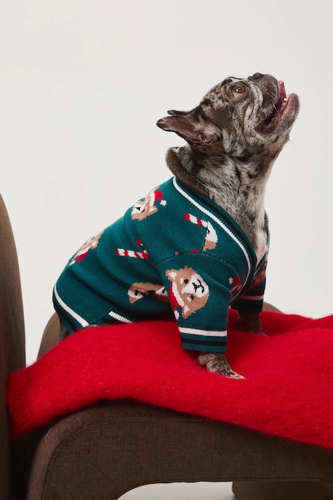 Medicine sweter dla pupila