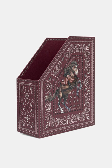 Medicine Organizer na biurko