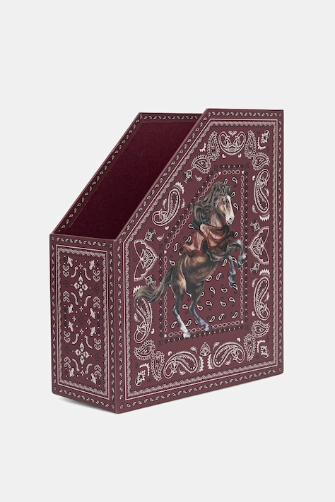 Medicine Organizer na biurko