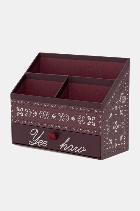 Medicine Organizer na biurko