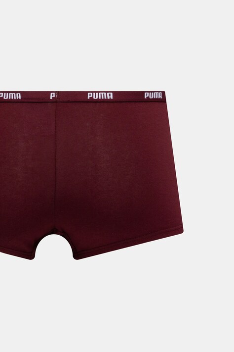 Puma figi