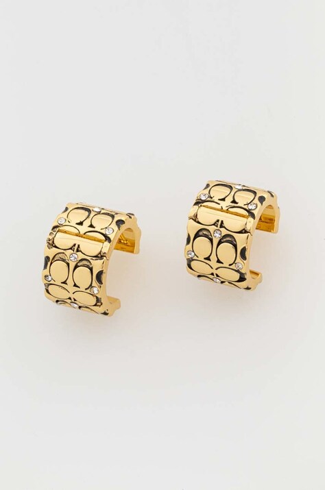 Сережки Coach