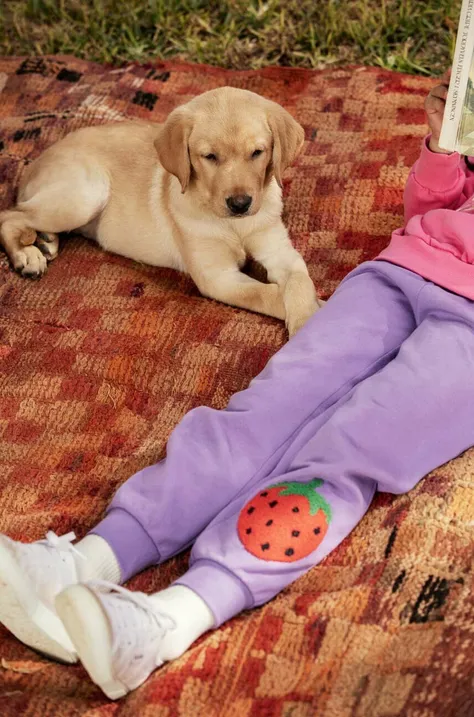 Detské bavlnené tepláky Mini Rodini fialová farba, vzorované