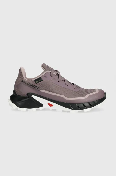 Παπούτσια Salomon Alphacross 5 GTX χρώμα: μοβ