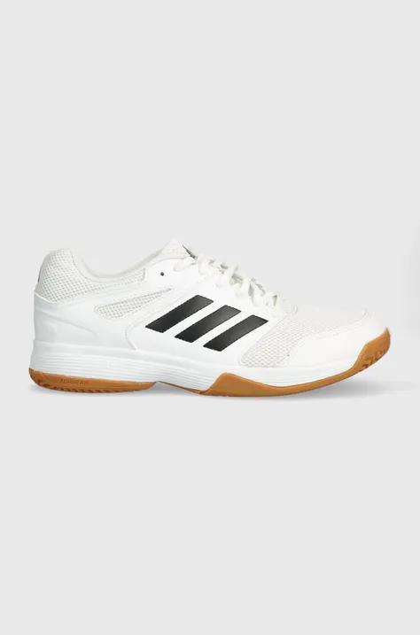Παπούτσια εσωτερικού χώρου adidas Performance Speedcourt  halowe Speedcourt χρώμα: άσπρο IE8032