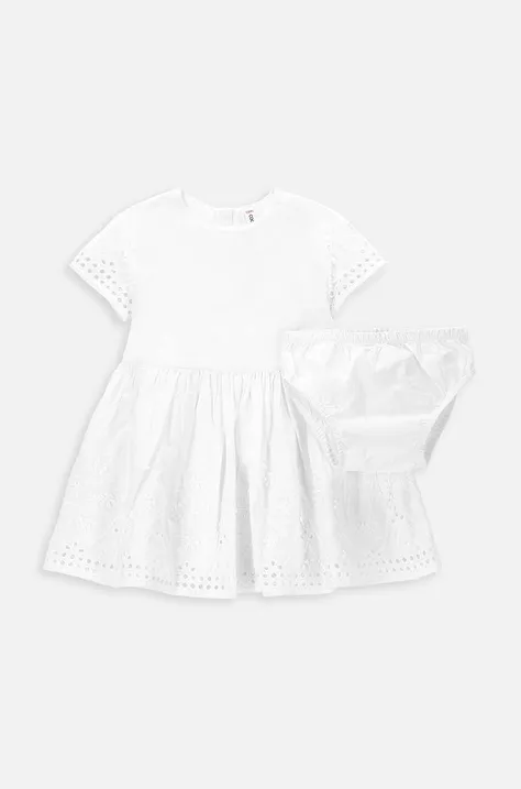 Coccodrillo sukienka bawełniana niemowlęca kolor biały mini rozkloszowana