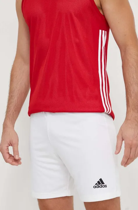 Kratke hlače za vadbo adidas Performance Entrada 22 bela barva